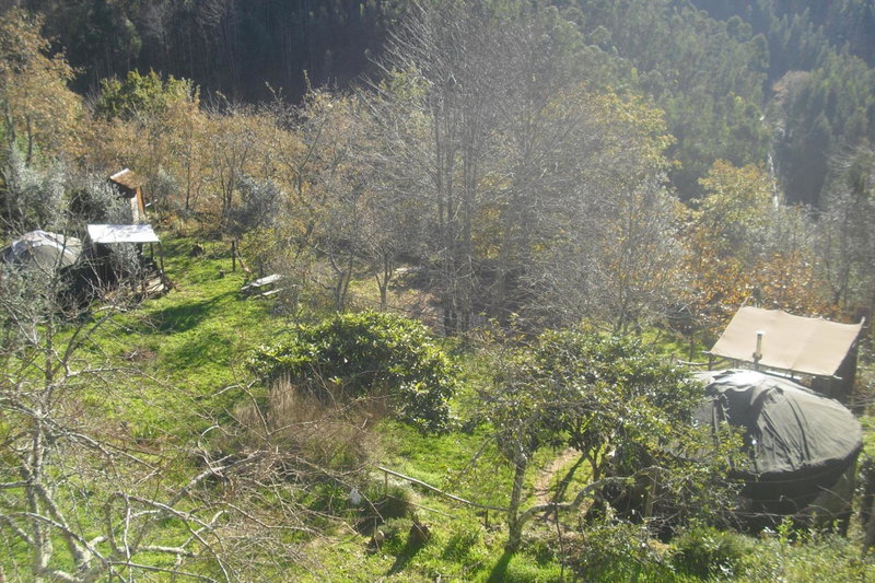 O Homem Verde, Penela, Portugal