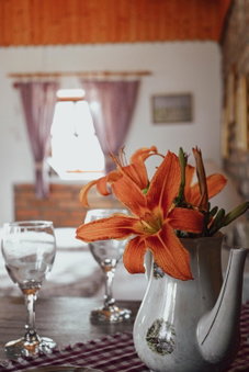 Studio Apartment Romeo, Velika Gorica, Croatia