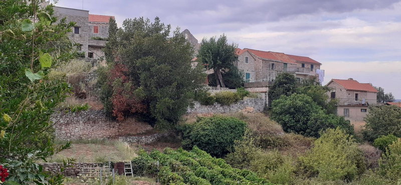 Heritage Apartments Kyra & Fox in Pitve, Hvar, Pitve, Croatia