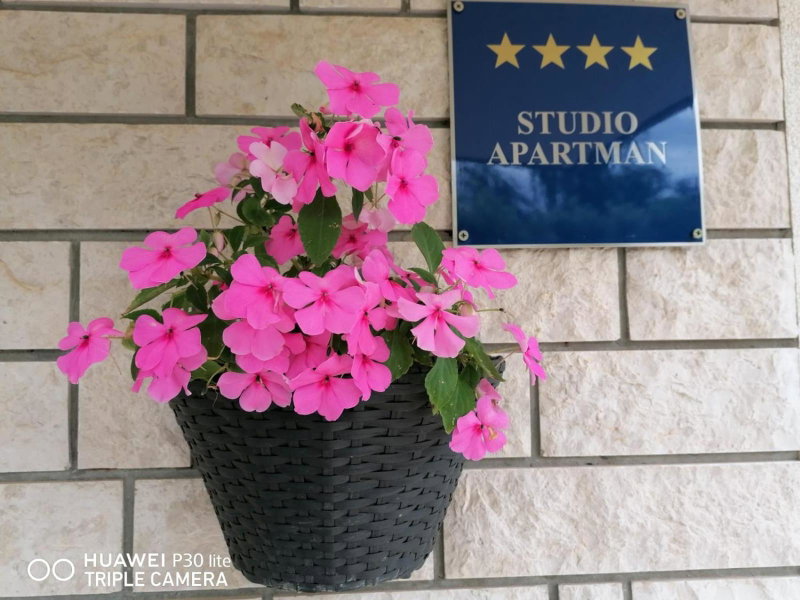 Apartment Borna, Pazin, Croatia