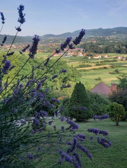 Kuća Za Odmor Barbara, Donja Stubica, Croatia