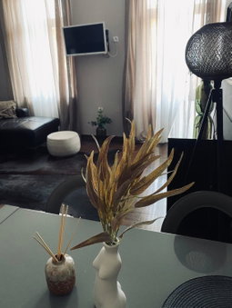 Apartment Abbazia, Opatija, Croatia