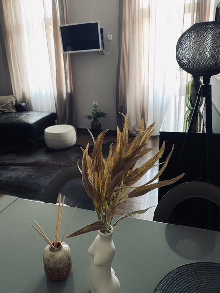 Apartment Abbazia, Opatija, Croatia