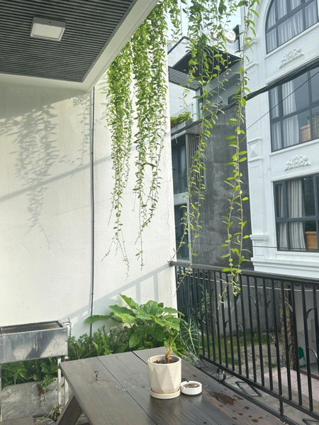Chingu Boutique Home Vung Tau, Vung Tau, Vietnam