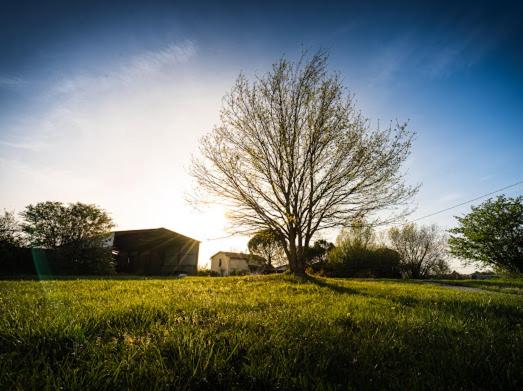 lov'HOME, Caussade, France