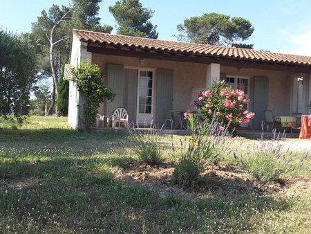 clair de lune, Saint-Rémy-de-Provence, France