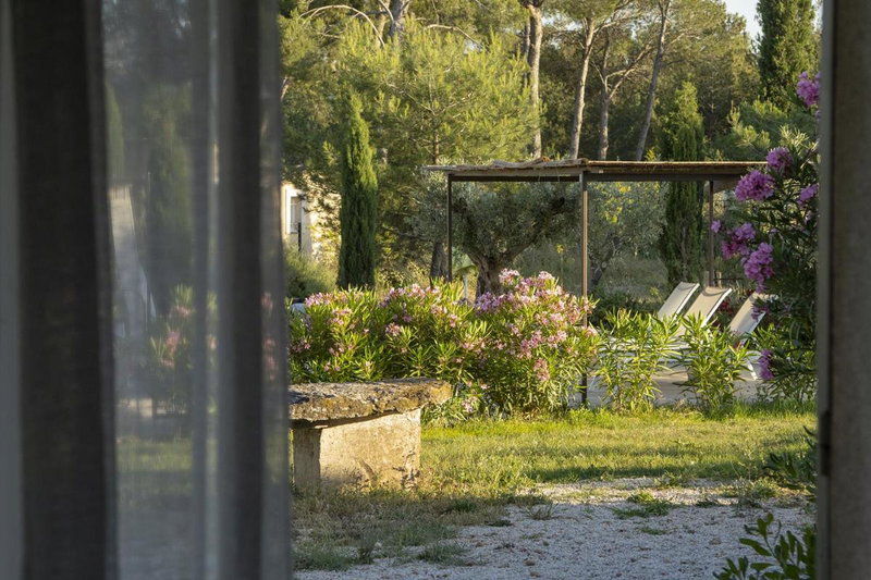 clair de lune, Saint-Rémy-de-Provence, France