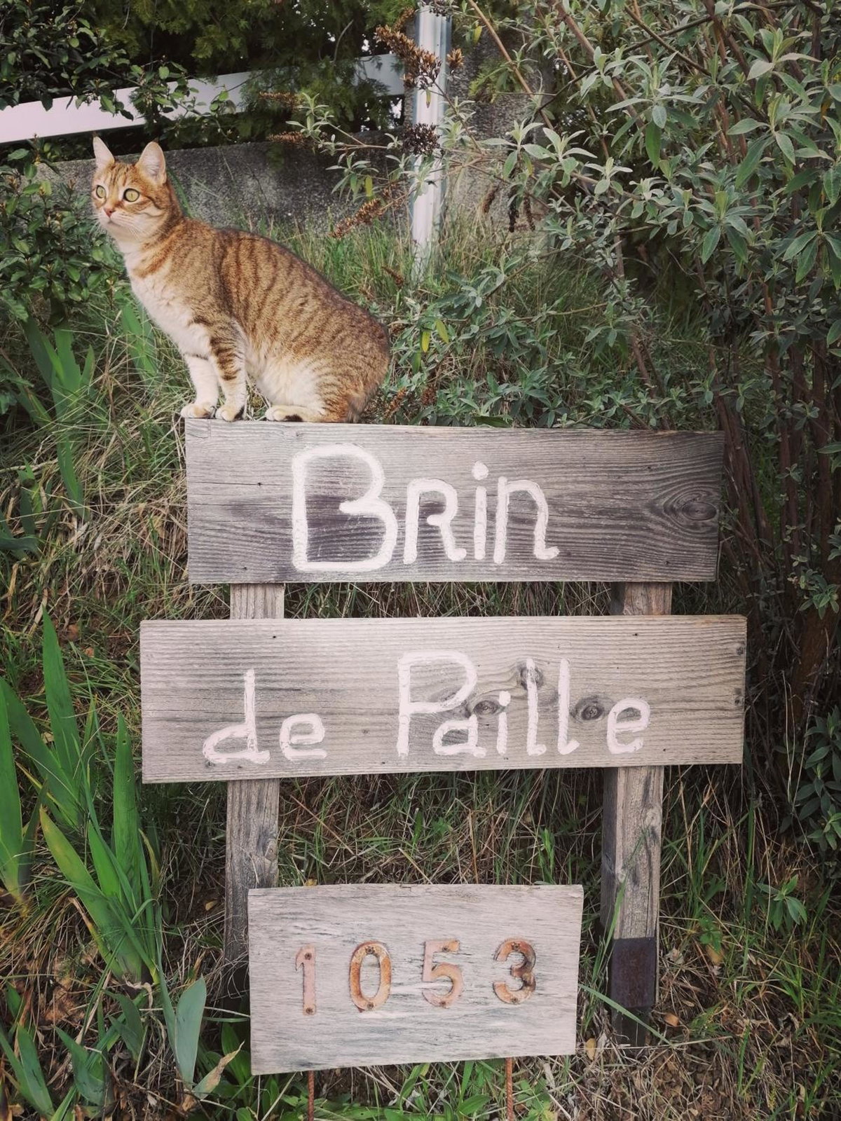 Brindepaille, France
