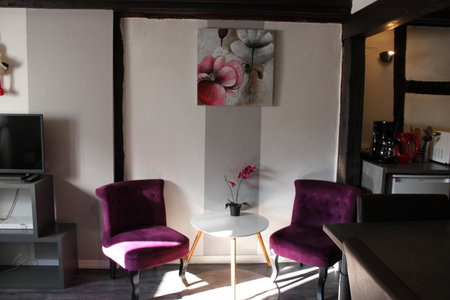 Appartement les Violettes, Colmar, France