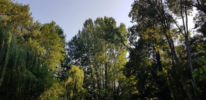Chalet au Coeur de Foret Gouvieux, Gouvieux, France