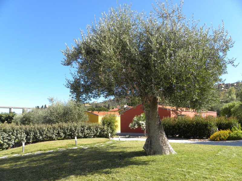 ReBi Village, Imperia, Italy