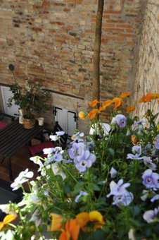 B&B Albornoz, Urbino, Italy