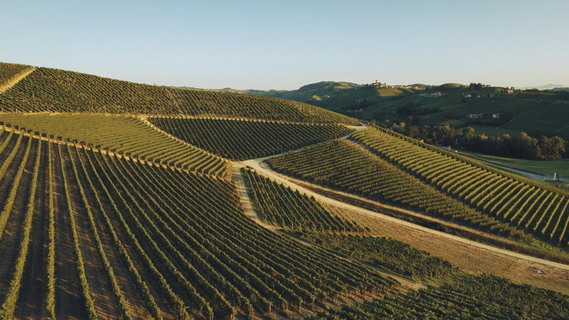 Villaggio Narrante - Le Case dei Conti Mirafiore, Serralunga d'Alba, Italy