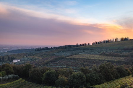 Agriturismo Ai Dossi, Verona, Italy