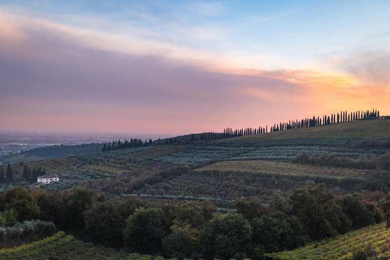 Agriturismo Ai Dossi, Verona, Italy