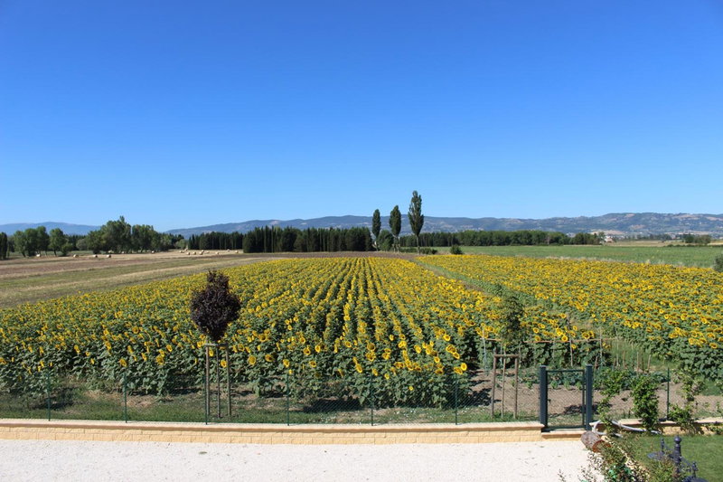 Il Podere di Francesco, Rivotorto, Italy