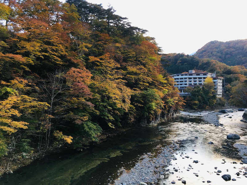 Nikko Garden Hotel, Nasushiobara, Japan