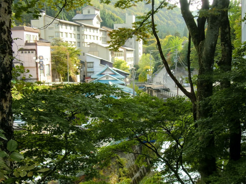 Onsen Guesthouse Sakaeya, Shizukuishi, Japan