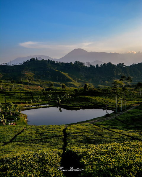 Homestay Sembiring Puncak, Cisarua, Indonesia