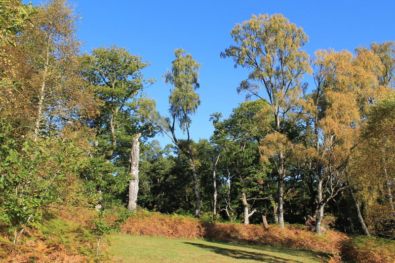 Tirindrish House B&B, Spean Bridge, United Kingdom