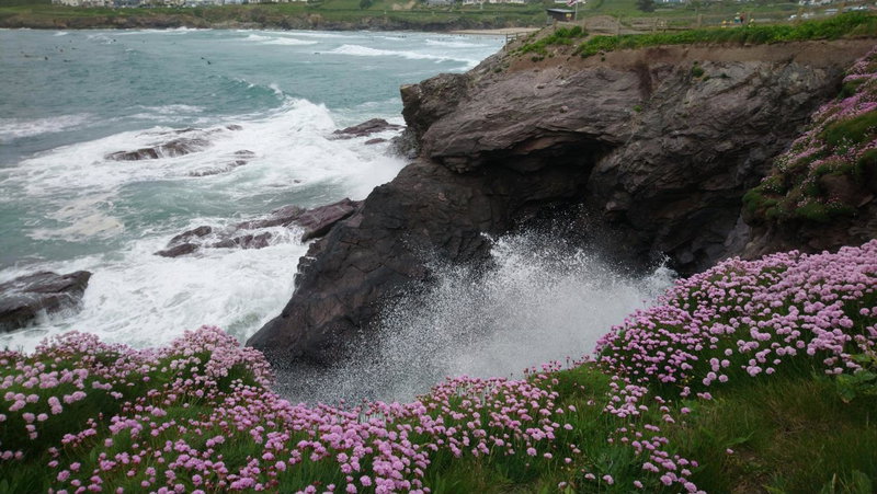 Cornish Holiday - 100 Hengar Manor, Bodmin, United Kingdom