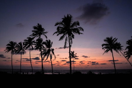 Longuinhos Beach Resort, Colva, India