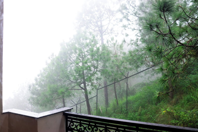 Rosetum Kasauli, Kasauli, India