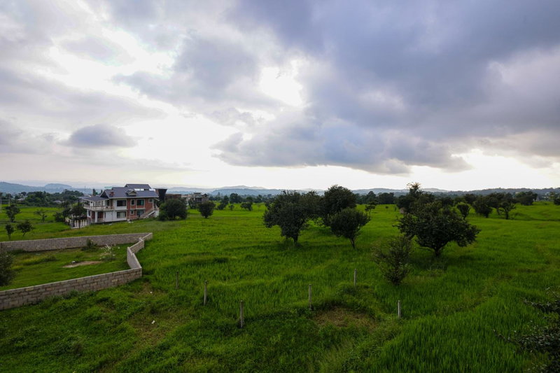 Vista Valley Stay, Luxury 3 BHK Villa Kangra, Dharamshala, Dharmsala, India