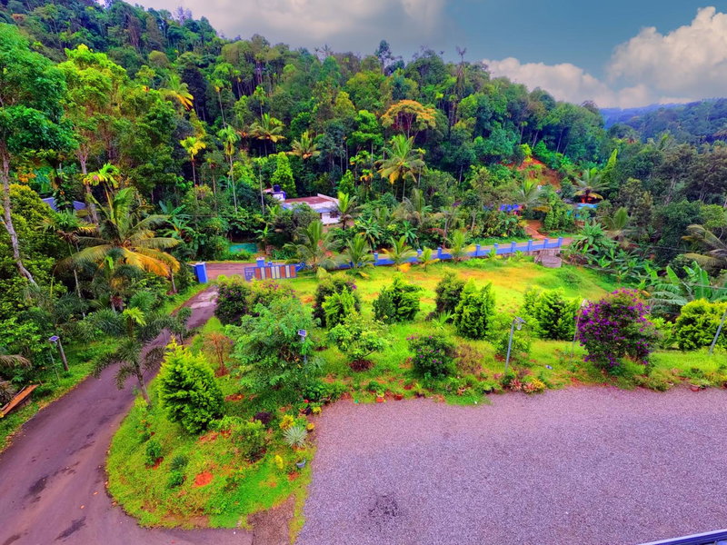 Green Cove Munnar, Anachal, India