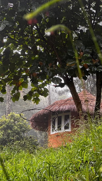 Punarjani Ayurvedic Resorts, Ramakkalmedu, India