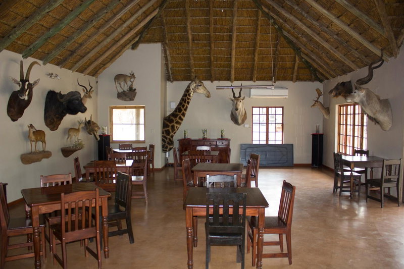 Thabaledi Game Lodge, Brits, South Africa