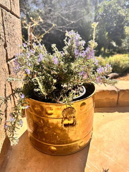 Farm stay at Rosemary Cottage on Haldon Estate, Bloemfontein, South Africa