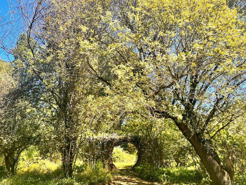 Farm stay at Rosemary Cottage on Haldon Estate, Bloemfontein, South Africa