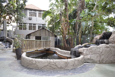 Laletsa Lodge, Durban, South Africa