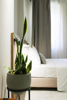 Oiko Mini Suites, Ermoupoli, Greece