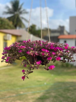 Suíte Porto das Dunas, Salvador, Brazil
