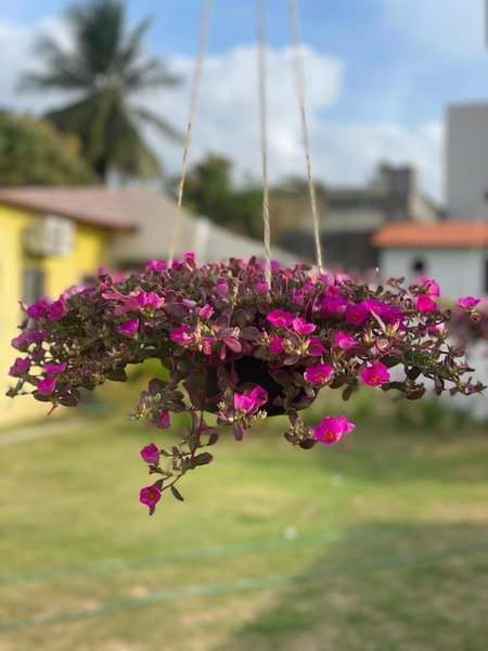 Suíte Porto das Dunas, Salvador, Brazil