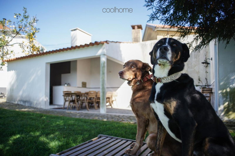 12 Casa d'Avó, Albergaria-a-Velha, Portugal
