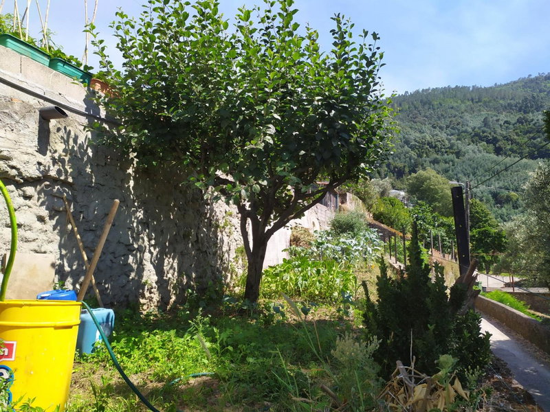 Casa da Rota dos Moinhos, Lousã, Portugal