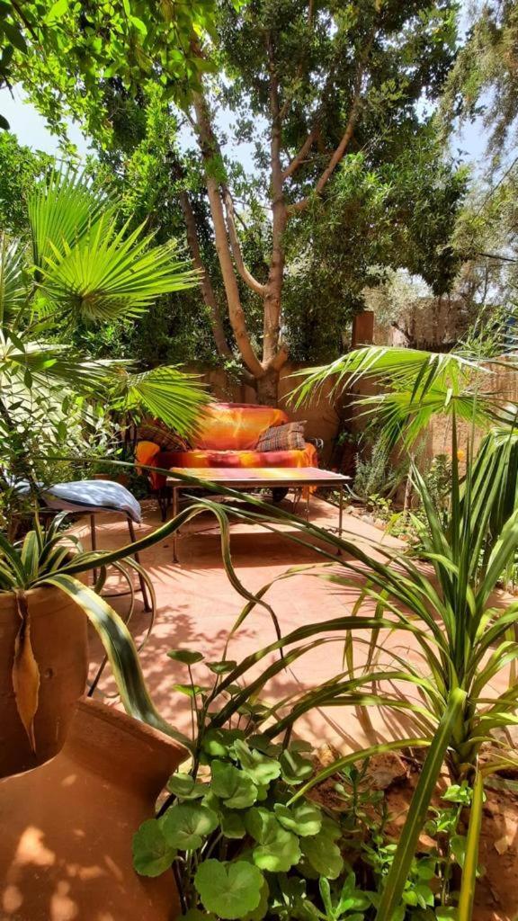 DAR OUZOUD Vegan, Morocco