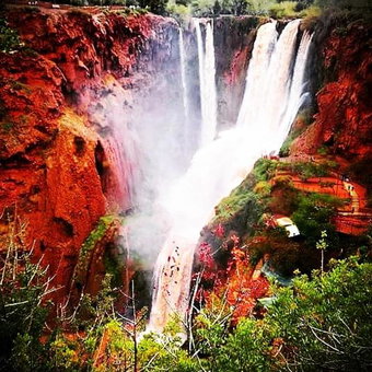 DAR OUZOUD Vegan, Ouzoud, Morocco