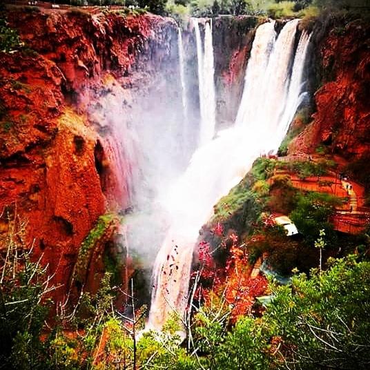 DAR OUZOUD Vegan, Ouzoud, Morocco