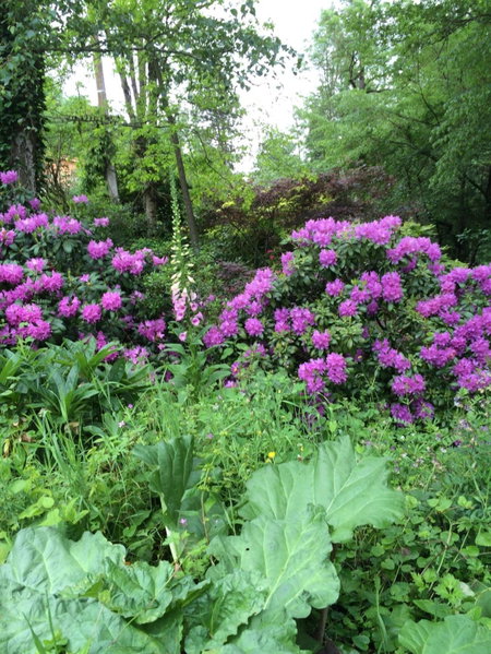 Les Sittelles de Bamboche, Saint-Symphorien-sur-Coise, France