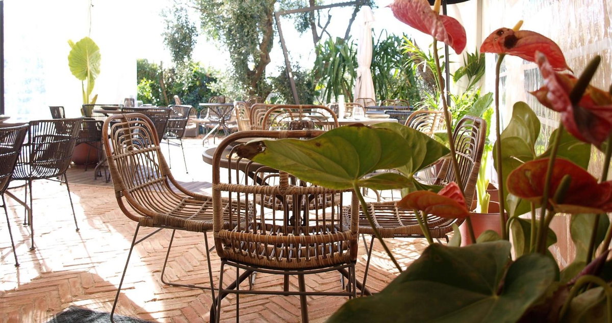 Hotel · Avocado Hôtel Restaurant, Saint-Jeannet
