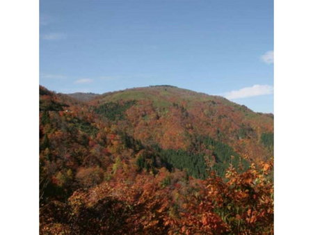 Pure Hotel - Vacation STAY 44177v, Yabu, Japan