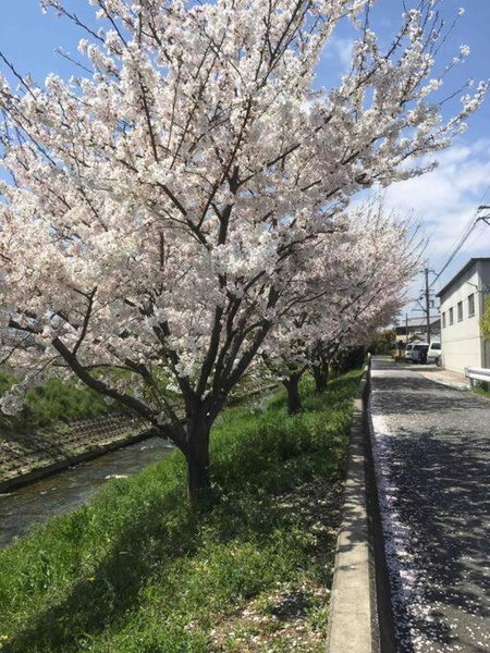 宿や サニービレッジ, Kashihara, Japan