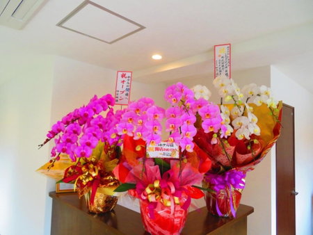 Ao-Ao-Hotel - Vacation STAY 29367v, Nago, Japan