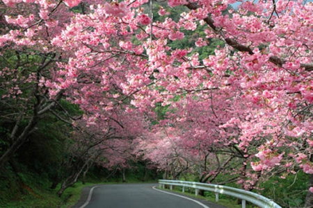 E-horizon Resort Condominium Sesoko - Vacation STAY 92297v, Sesoko, Japan