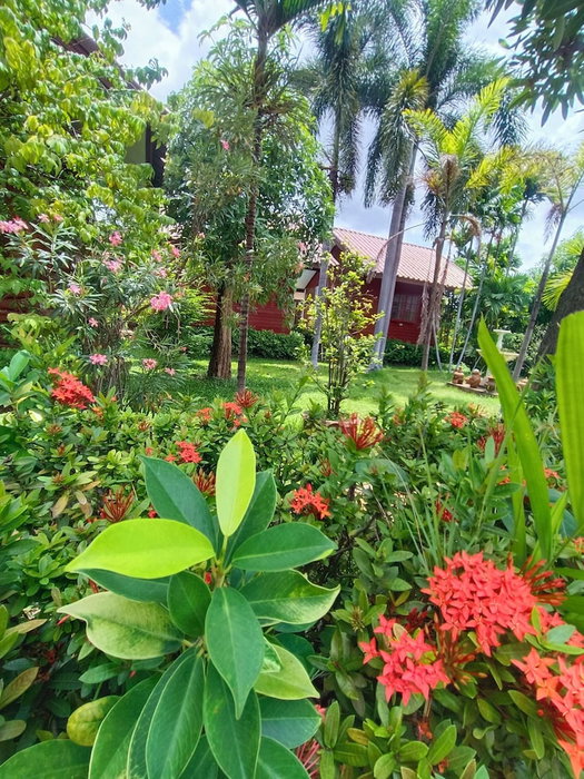 MG Guest House, Sukhothai, Thailand