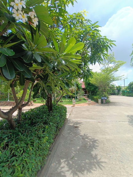 MG Guest House, Sukhothai, Thailand
